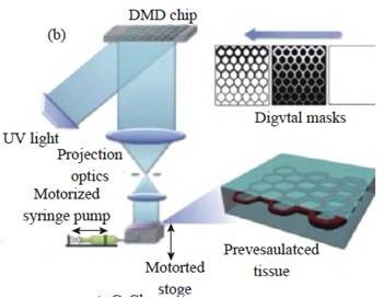 生物3D打印技术的应用及激光应用技术的挑战