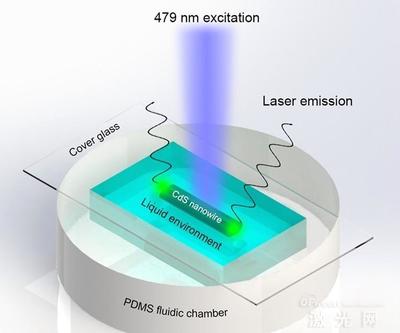 纳米激光器 点亮未来光电技术的微观火炬